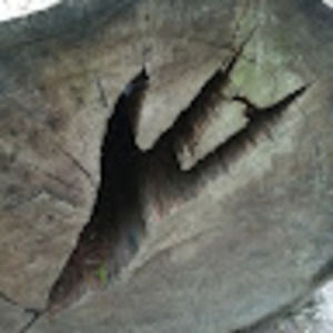 Meet your Posher, Marie